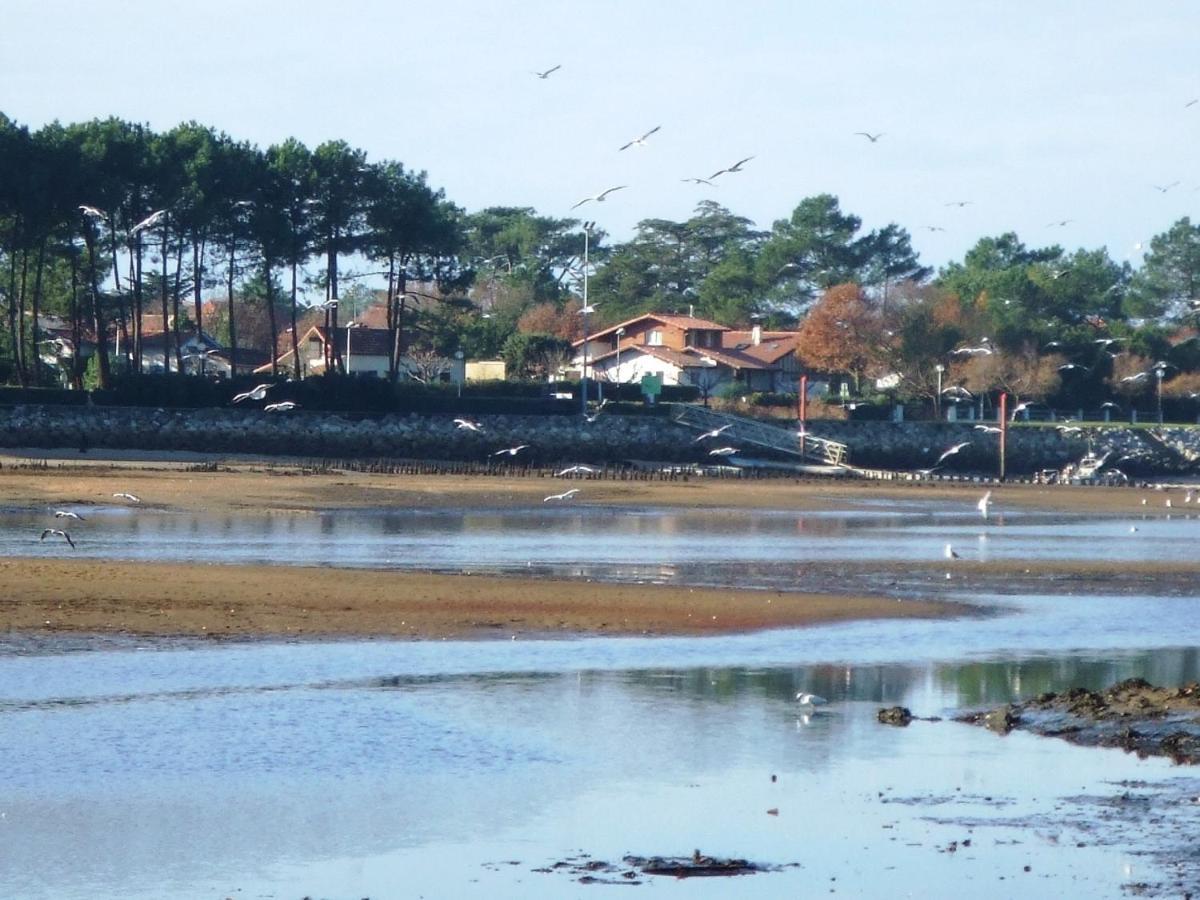 Apartament Les Alizes Mimizan-Plage Zewnętrze zdjęcie